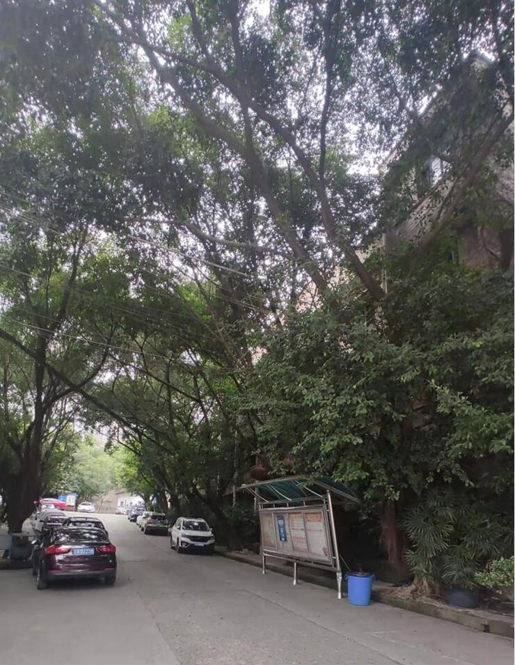現(xiàn)場圖片6.jpg
