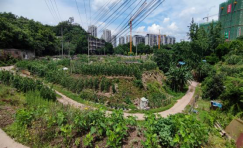 關于三鋼B區2#地塊閑置土地租賃網上公開競租公告1484.png